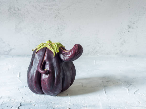 An anthropomorphic eggplant holds a sign ready to happily spread your message.