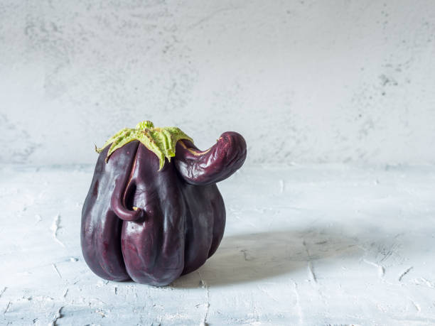 Trendy ugly organic eggplant stock photo