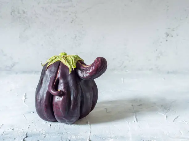 Photo of Trendy ugly organic eggplant