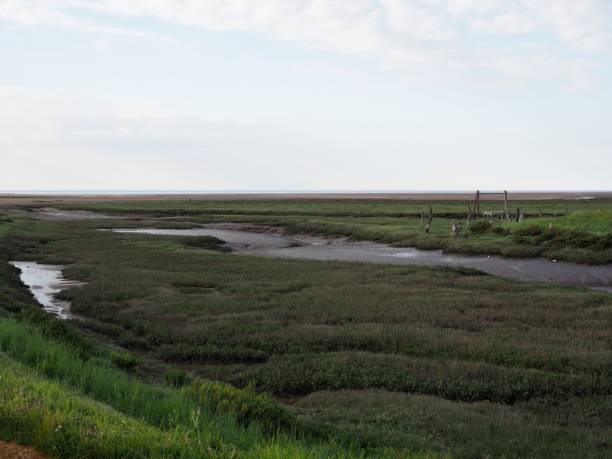 istock Mud flats in North Norfolk coast 1157619328