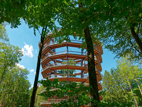 Ebrach, Germany -  June 19, 2019: View of the tower of the treetop path in the Franconian Steigerwald on a sunny day. The spirally built path of the tower leads to a height of 42 meters. From there the visitors have a wide view over the treetops of the forest and the Steigerwald, a small low mountain range in Franconia.