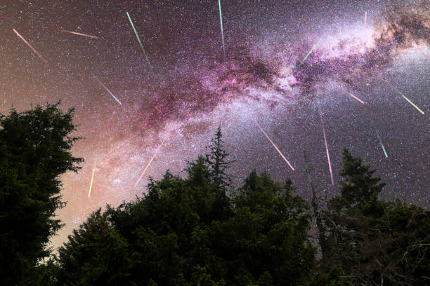 istock Purple Milky way falling stars pine trees silhouette 1157621877