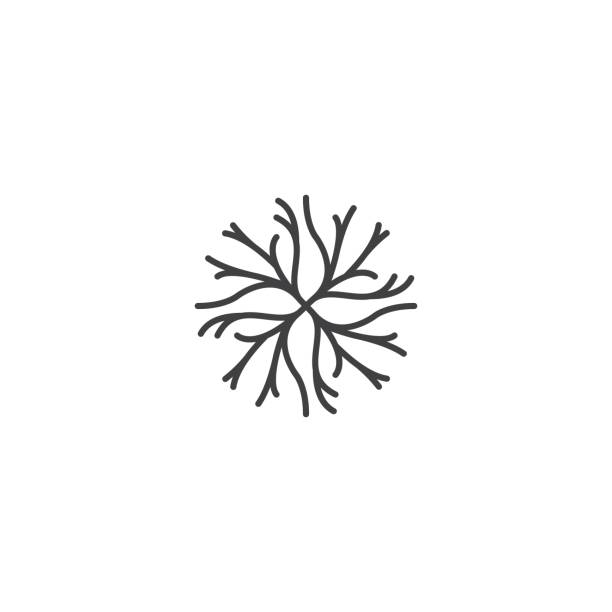 abstrakcyjny korzeń drzewa lub gałązka. szablon ikony wektora - tree root environment symbol stock illustrations
