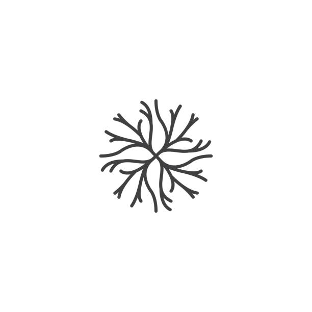 абстрактный корень дерева или веточка. шаблон значка вектора - tree root environment symbol stock illustrations