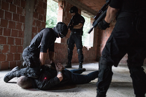 Special forces SWAT in action, making an arrest of a gangster