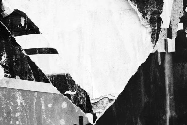 istock Blank white black old ripped torn paper crumpled creased posters grunge textures backdrop backgrounds placard stock photo 1157633196