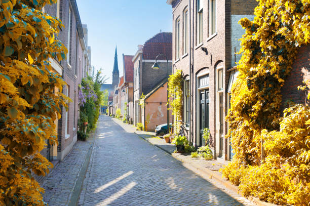 istock Delft old town in Holland 1157633849