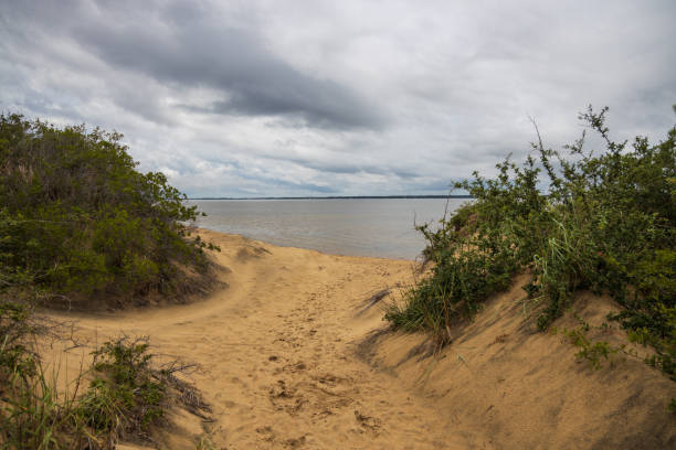 Path Through the Sand of Jockeys Ridge