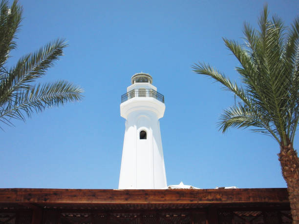 The white tower of minaret on a blue sky background between two palms. Egypt