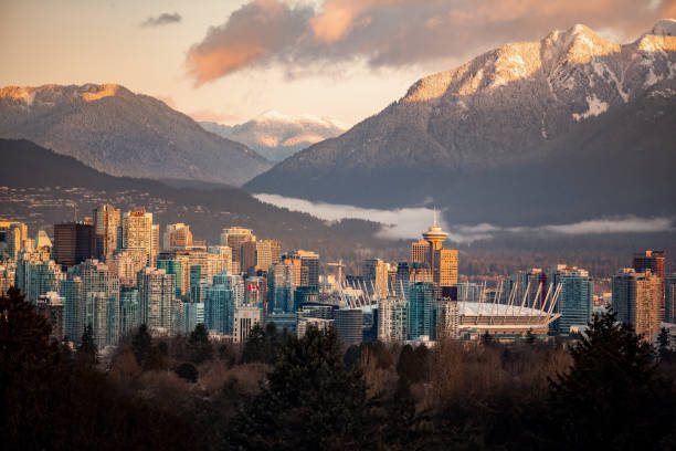 downtown vancouver cityscape from queen elizabeth park at winter - vancouver skyline city urban scene imagens e fotografias de stock