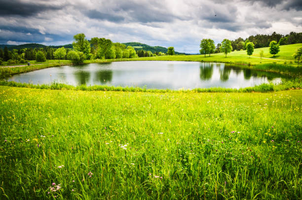 étang de ferme du vermont - retention pond photos et images de collection