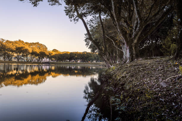 istock Lake at public park in Valinhos/SP 1157636572