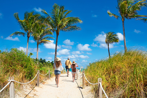 Family walking  to the beach. People enjoying time on the beach on summer vacation. Footpath with palm trees, and ocean in the background. South Beach, Miami, Florida, USA