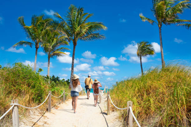 Family enjoying time together on the beach on summer vacation. Family walking  to the beach. People enjoying time on the beach on summer vacation. Footpath with palm trees, and ocean in the background. South Beach, Miami, Florida, USA miami beach stock pictures, royalty-free photos & images