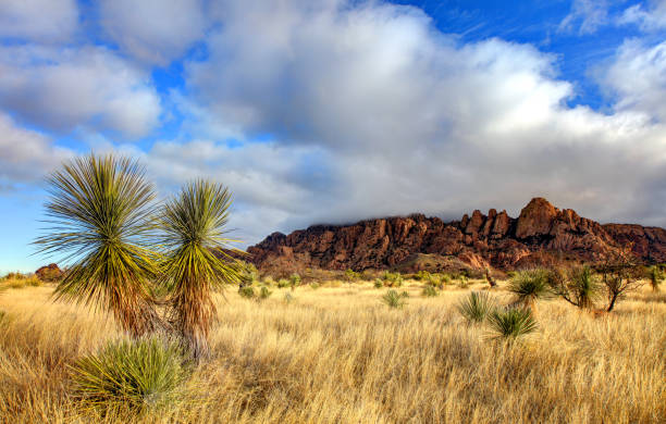Dragoon Mountains in Southern Arizona The Dragoon Mountains are a range of mountains located in Cochise County, Arizona dragoon mountains photos stock pictures, royalty-free photos & images