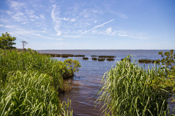 istock Sound's edge at the Outer Banks 1157641776