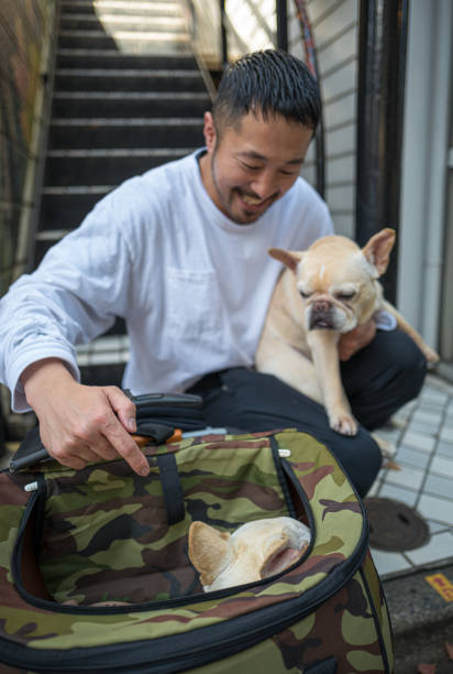 istock love between pet and the owner 1157655555