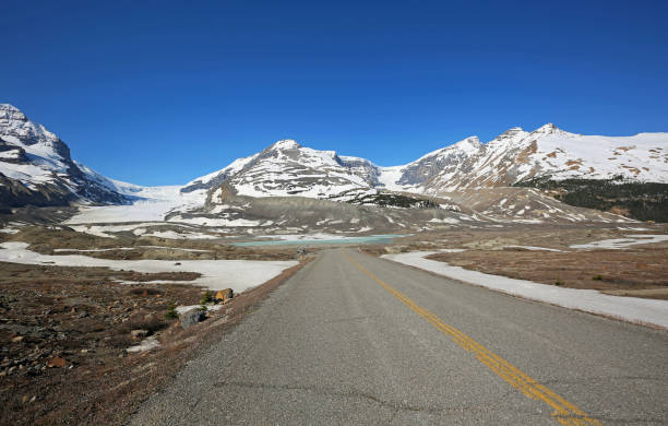 istock The road in Columbia Icefield 1157657104