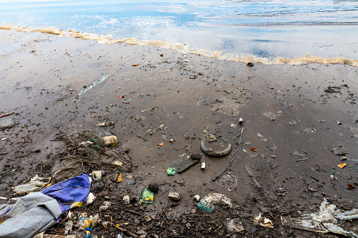 Sewage thrown on the sea without treatment