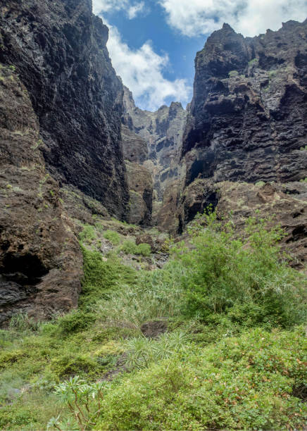 roches dans la gorge de masca, tenerife, montrant les couches de coulée de lave volcanique solidifiées et la formation d'arc. le ravin ou barranco descend vers l'océan à partir d'une altitude de 900m - solidified photos et images de collection