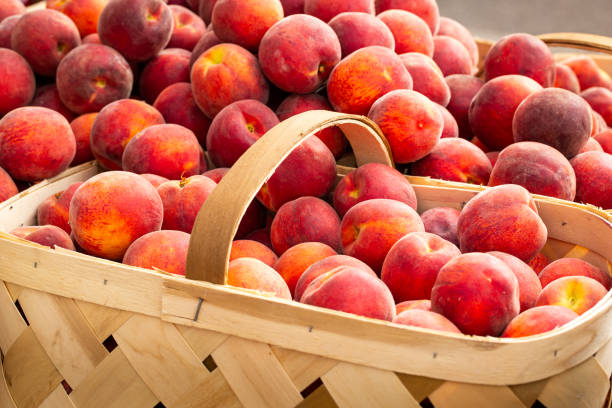 istock Beautiful Yellow Peaches in Baskets 1157663037