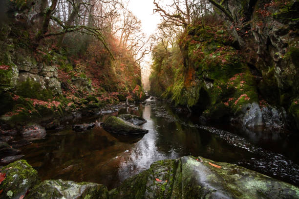 웨일즈 스노도니아 국립공원의 베츠-y-coed에서 페어리 글렌의 멋진 일몰 전망 - stream forest waterfall zen like 뉴스 사진 이미지