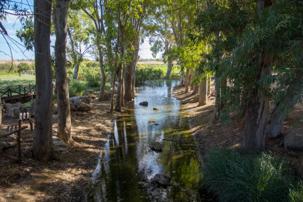 istock Ciane Fountain at Sicily, Italy 1157674249