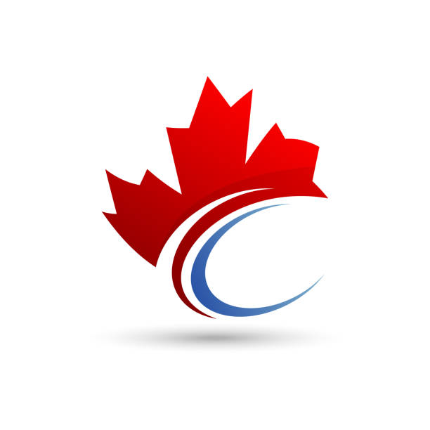 logo wektora liści klonu. - canadian culture leaf symbol nature stock illustrations
