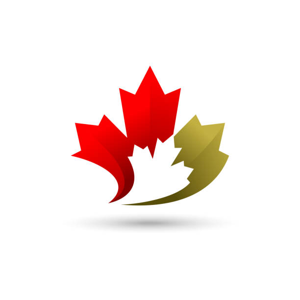 illustrazioni stock, clip art, cartoni animati e icone di tendenza di logo vettoriale foglia d'acero. - leaf canadian culture maple leaf canada