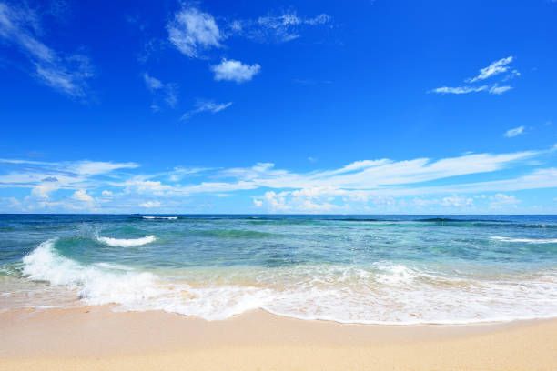 istock Beautiful sea and summer sky 1157676931