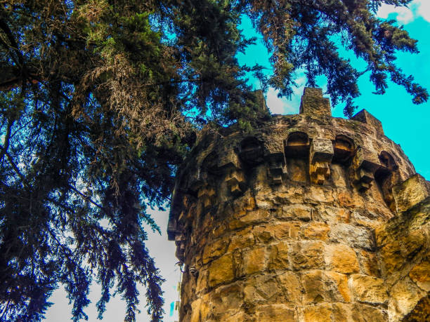 Stone tower next to trees with blue sky