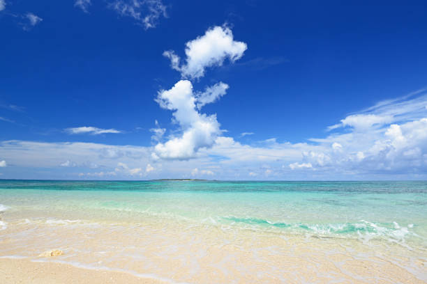 Beautiful sea and summer sky