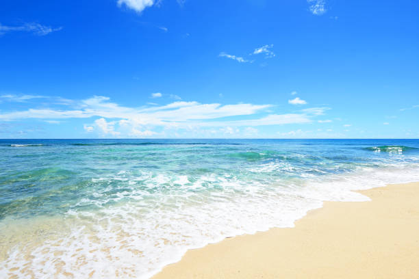 istock Beautiful sea and summer sky 1157678139