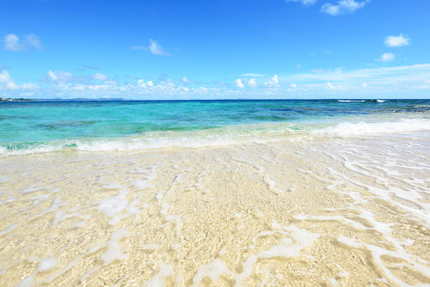 istock Beautiful sea and summer sky 1157678166