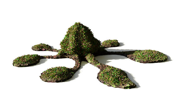 istock alien plant, extraterrestrial world flora isolated on white background 1157678281