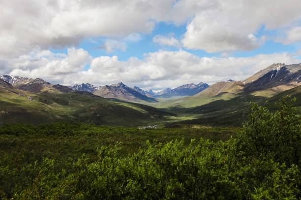 istock Tombstone Territorial Park 1157678961