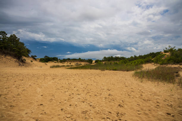 istock Sand Dunes at Jockey's Ridge State Park 1157679279