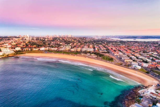 d bondi rise high cbd - surfing new south wales beach australia foto e immagini stock