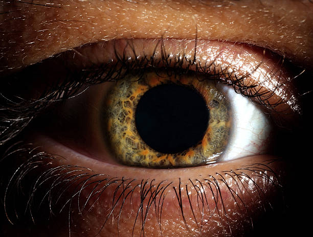 Closeup shot of the man eye Closeup shot of the man eye iris eye photos stock pictures, royalty-free photos & images