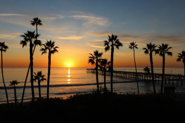 istock Sunset at San Clemente Pier with Palms 1157686967