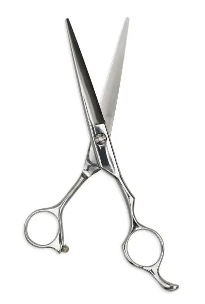 Photo of Professional Haircutting Scissors