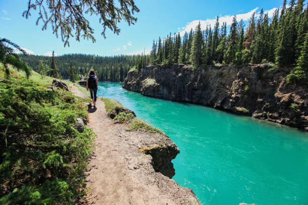 Miles Canyon Hiker Whitehorse, Canada - June 20, 2019. A female hiker passes alongside Miles Canyon in the Yukon. yukon river canyon yukon whitehorse stock pictures, royalty-free photos & images
