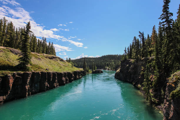 Miles Canyon Colorful waters of the Miles Canyon park outside of Whitehorse, where steamboats traveled to the Gold Rush in the past. yukon river canyon yukon whitehorse stock pictures, royalty-free photos & images