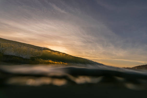 istock Salt Creek Backlit Wave About to Crash 1157694291
