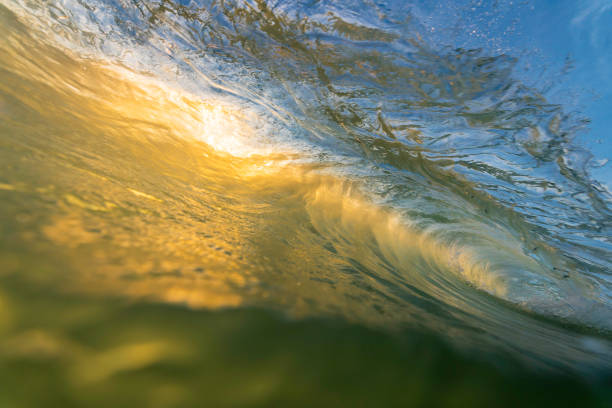 istock Salt Creek Backlit Wave About to Crash 1157694352