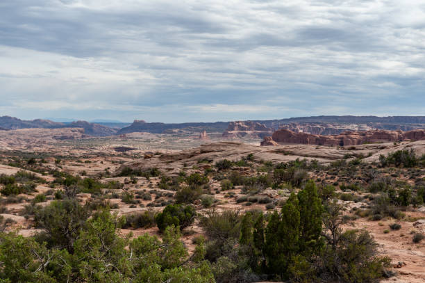 istock A summer afternoon in Arches National Park 1157694508
