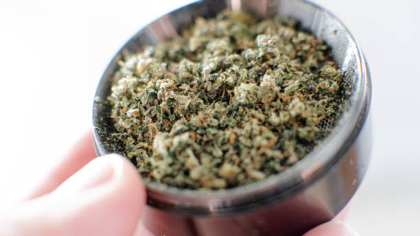 istock metal grinder for grinding marijuana before smoking in super macro. marijuana smoking culture our days 1157695347