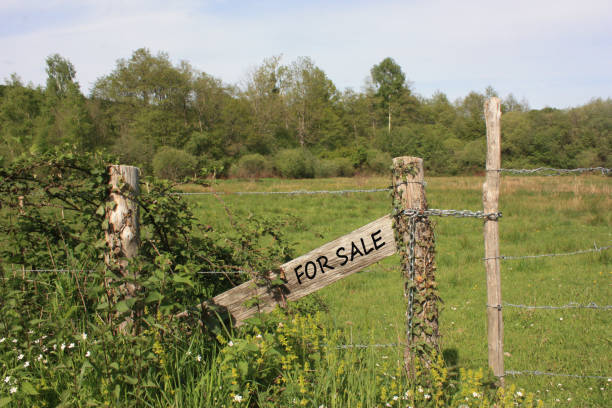 Rural land for sale  Enclosed ground