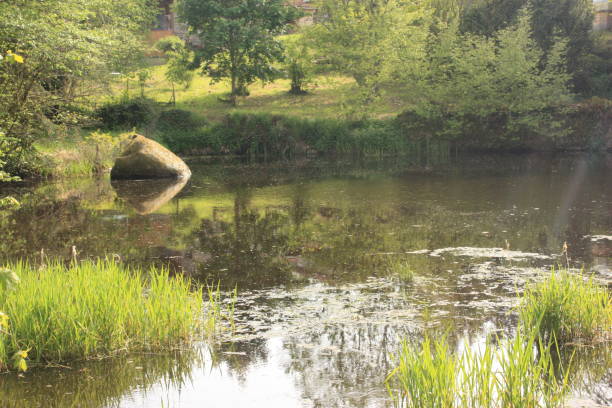 istock River La Gartempe Creuse Rural Scene 1157696452