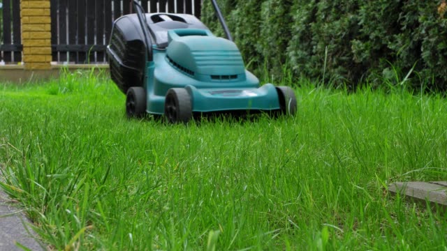 Mowing the Grass with Electric Lawnmower POV